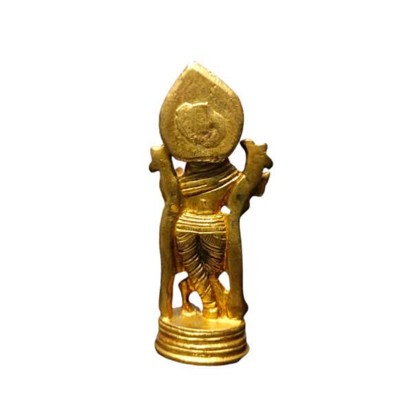 Madhav Murti - Image 4